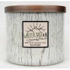 1 Bath & Body Works WINTER SAGE Large 3-Wick Scented Candle 14.5 oz   122915887402